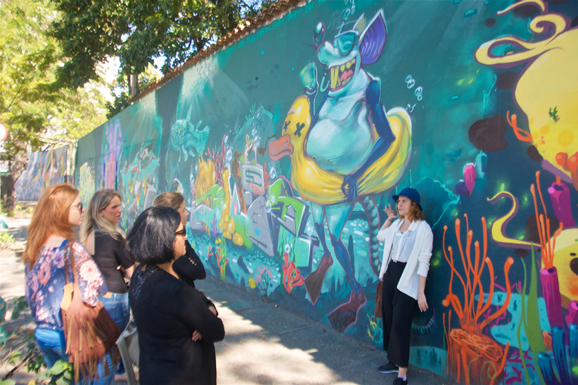 Private Rio Street Art Tour